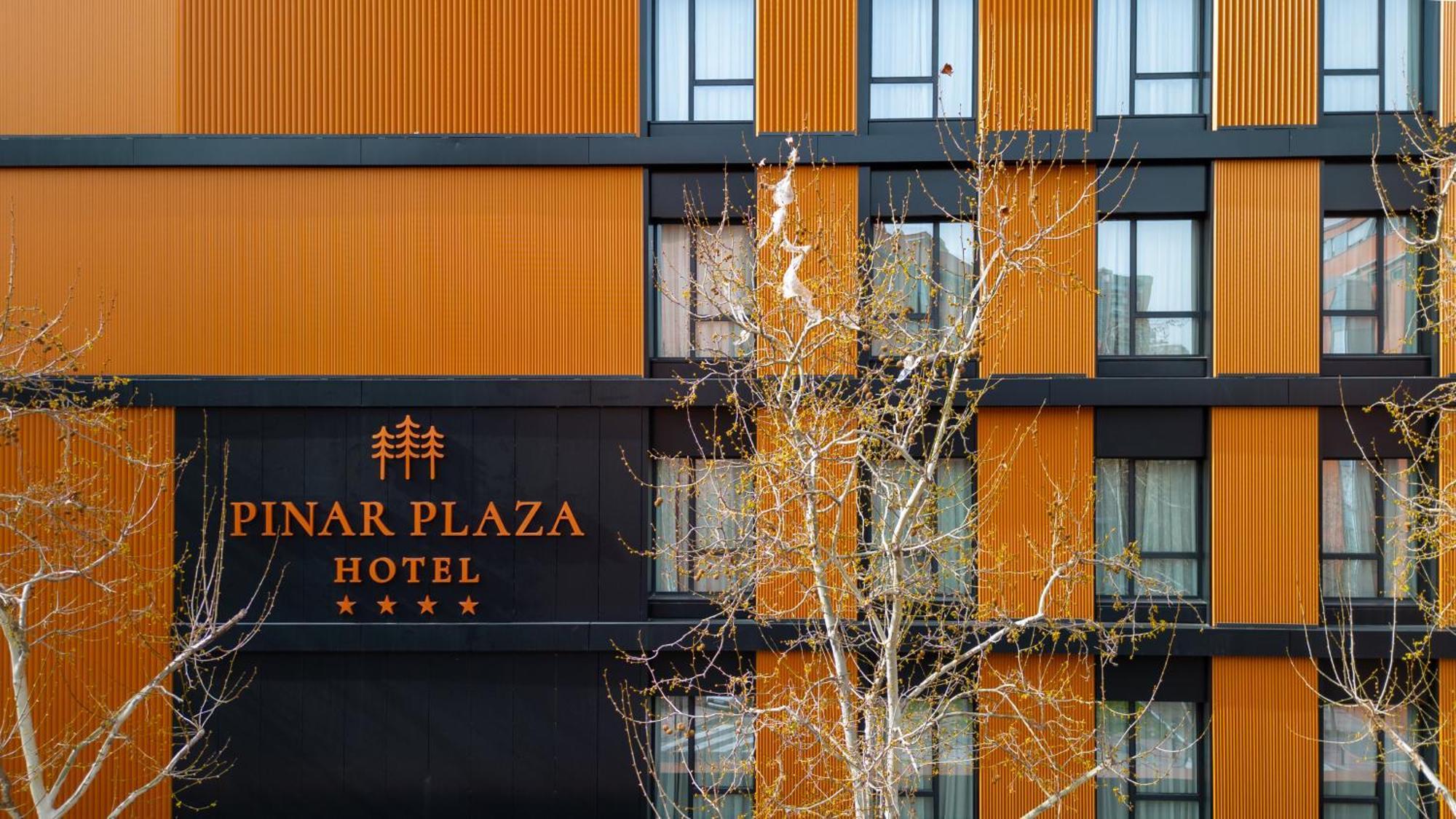 Hotel Pinar Plaza Madrid Dış mekan fotoğraf